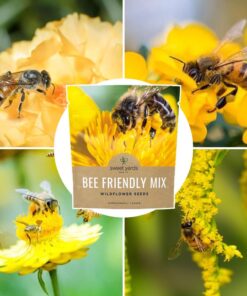 Bee Friendly Wildflower Seed Mix - Bulk 1 Ounce Packet - Over 7,500 Open Pollinated Seeds - Save The Bees! 1 Ounce Pouch 36 61SdzOtcyL