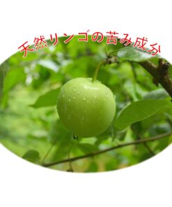 Alternative view of Grannick's Bitter Apple for Dogs Spray Bottle, 16 Ounces, Golds & Yellows (1116AT) 16 Ounces (Pack of 1)