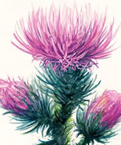 Alternative view of Strathmore 440-1 400 Series Watercolor Pad, 9"x12" Wire Bound, 12 Sheets 9x12 Wire Binding