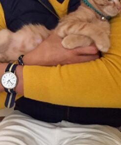 Petmate Aspen Pet Breakaway Fashion Collar, 3/8" x 8-12", Sub Geo Blue 3/8" x 8-12" 39 61Sm5XyB6GL