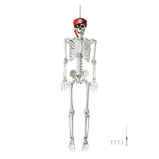 AW 5.4 ft/165cm Poseable Halloween Full Body Life Size Skeleton Props with Movable Joints for Party Decoration Anatomy Scentific Study 5.42 ft,1 pcs