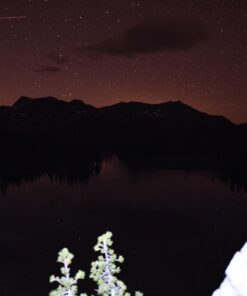 Nikon AF-S FX NIKKOR 20mm f/1.8G ED Fixed Lens with Auto Focus for Nikon DSLR Cameras Lens Only 74 61So99JmaFL