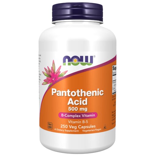 NOW Foods Supplements,Pantothenic Acid (Vitamin B-5) 500 mg,B-Complex Vitamin,250 Capsules 250 Count (Pack of 1)