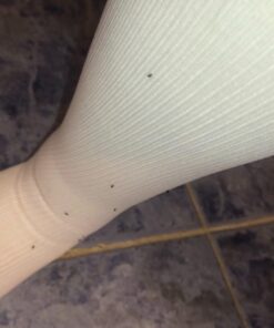 Zoecon Precor 2000 Plus Premise Spray, 16 oz. 16 61Sxq79xFBL