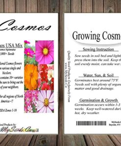 Big Pack - Cosmos USA Mix (8,000+) Flower Seeds By MySeeds.Co (Big Pack - Cosmos Mix) 36 61T RnBfWaL