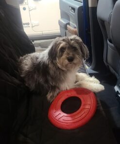 4Knines Dog Seat Cover Without Hammock for Cars, SUVs, and Small Trucks - Heavy Duty, Non Slip, Waterproof (Black) Black 29 61T0btVMHBL