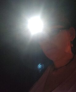 EverBrite 5-Pack LED Headlamp, 4 Lighting Modes, Pivoting Head with Adjustable Headband, Perfect for Running, Camping and Hiking, Batteries Included 26 61T1QIPlDGL