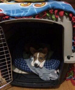 Petmate Ultra Vari Dog Kennel for Small to Medium Dogs (Durable, Heavy Duty Dog Travel Crate, Made with Recycled Materials, 28 in. Long) 25 to 30 lbs, Made in USA TAUPE/BLACK 28" 33 61T3YchpIbL