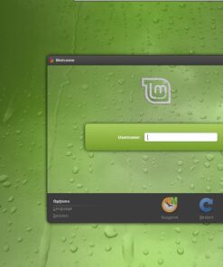 Alternative view of Linux Mint 18 Special Edition DVD - Includes both 32-bit and 64-bit MATE versions