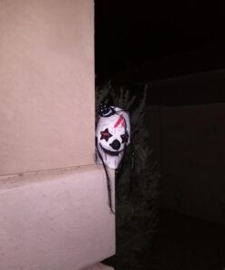 Fun World Costumes Killer Clown Complete One Size Black/White 28 61T6V1bsRmL