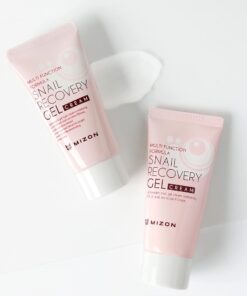 MIZON Snail Line Gift Set, Skincare Set, Set of Two Snail Recovery Gel Cream, Wrinkle Care, Skin Elasticity, Moisture, Fragrance-Free, Paraben-Free (45ml 1.52 fl.oz -Pack of 2) 2 Count (Pack of 1) 33 61TAxtvZ8wL