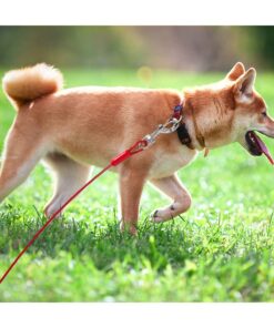 BV Pet Tie Out Cable for Dogs Up to 125 Pounds, 30 Feet (Red/ 125lbs/ 30ft) 125lbs/ 30ft/ Red 27 61TCuXckqmL