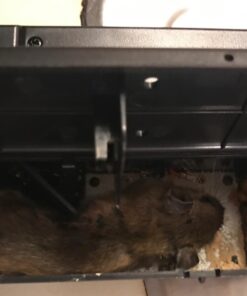 Victor M2524S Electronic Mouse Trap- No touch, No See disposal 1 Pack 47 61TDJIWbbBL