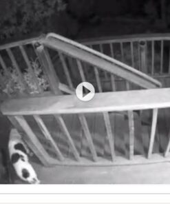 Arlo - Wireless Home Security | Night vision, Indoor/Outdoor, HD Video, Wall Mount | Includes Cloud Storage & Required Base Station | 1-Camera System (VMS3130) 1 Count (Pack of 1) 32 61TJwi9x24L