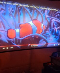 TMY Native 1080P Projector with 5G WiFi and Bluetooth 5.1, 13000 Lumens 4K Supported Mini Projector, Portable Projector Compatible with TV Stick/Phone/PC/DVD/HDMI/AV/USB/SD, Outdoor Movie Projector 53 61TQagi1GzL