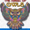 The Magic of Owls - An Inner Hues Adult Coloring Book: Fun, Fantasy, and Stress Reduction combining Art, Nature, Poetry, and Music for Relaxation, Meditation, and Creativity. 16 61TXiq7j0L