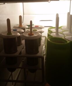 Onyx 18/8 Stainless Steel Popsicle Mold, Set of 6 7 61TZpXolDzL