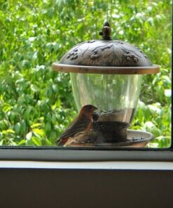 Perky-Pet 305 Holly Berry Gilded Chalet Wild Bird Feeder Gold 34 61TcUMJHKWL