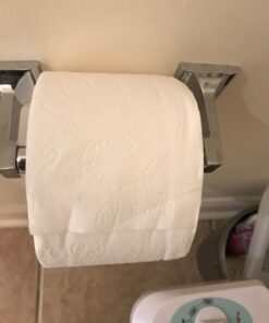 Charmin Ultra Soft Cushiony Touch Toilet Paper, 24 Family Mega Rolls = 123 Regular Rolls (Packaging May Vary) 24 Count (Pack of 1) 52 61TdsSuLCXL