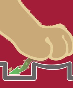 Petlinks Purr-fect Paws Multipurpose Cat Litter Mat - Gray, Extra Large X-Large 29 61TeI3aZCsL