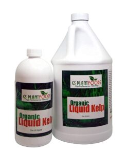 Organic Kelp Fertilizer by GS Plant Foods - Omri Listed(1 Gallon) - Liquid Kelp Concentrate for Gardens, Lawns & Soil Yields 800+ gallons 1 Gallon 31 61TgHg4unwL 1