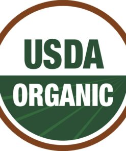 Seeds of Change 1728 Cilantro, Green 24 61TrcgJNp2L