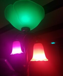 Philips Hue White and Color Ambiance A19 60W Equivalent Dimmable LED Smart Bulb (1 Bulb Compatible with Amazon Alexa Apple HomeKit and Google Assistant) 42 61TybRmP38L