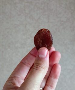 Terrasoul Superfoods Organic Apricots, 2 Lbs, Unsulphured, No-Added Sugar, Sweet and Tangy Delights for Snacking, Baking, and Vibrant Trail Mixes 32 Ounce (Pack of 1) 13 61U f02tZUL