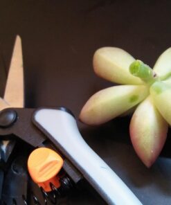 Fiskars 99216935J Pruning Softouch Micro-Tip Snip, Non-Coated Blades, Gray 34 61U2Y9fxAcL