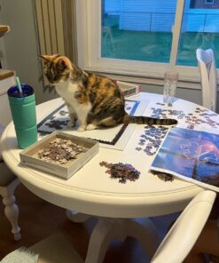 Buffalo Games - Charles Wysocki - Whistle Stop Christmas - 500 Piece Jigsaw Puzzle Red, Violet, Green, 21.25"L X 15"W 31 61U7FIY2UEL