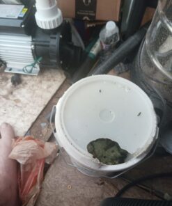 Tomcat All Weather Bait Chunx, 4 Lb 13 61U7ZCh5xaL