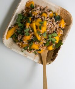 Palm Leaf Square Plate with Rounded Corners (Case of 100), PacknWood - Eco Friendly Compostable Wooden Disposable Plates (6" x 6" x 0.8") 210BBA1717 100 Pieces 6" x 6" 18 61UAaVrb1L