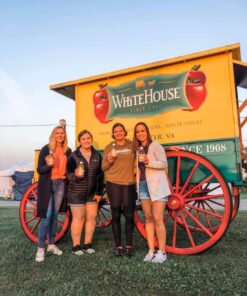 White House Detox Apple Cider Vinegar Shots, Raw Unfiltered, On the Go (Detox, Pack of 24) 2 Ounce (Pack of 24) 16 61UBkvGGgEL