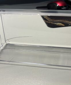 STORi SimpleSort 6-Piece Stackable Clear Drawer Organizer Set | 12" x 3" x 2" Rectangle Trays | Narrow Makeup Vanity Storage Bins and Office Desk Drawer Dividers | Made in USA 12x3x2" (Set of 6) 28 61UCFZR39fL