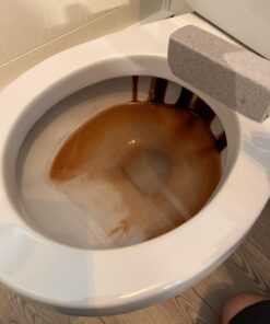 PUMIE Toilet Bowl Ring Remover, TBR-6, Grey Pumice Stone with Handle, Removes Unsightly Stains from Toilets, Sinks, Tubs, Showers, Pools, Safe for Porcelain, 1 Pack 1 Count (Pack of 1) 46 61UCk4GbdpL