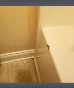 Tivoli II Self Adhesive Vinyl Floor Planks, 10 Pack - 6" x 36", Silver Spruce - Peel & Stick, DIY Flooring - Natural Wood Grain Feel for Kitchen, Dining Room & Bedrooms by Achim Home Decor Wood look 10 Planks 57 61UEi7GWDxL