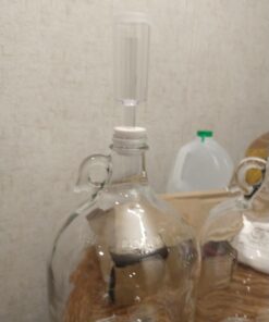 FastRack Stopper/Airlock 1 Gallon Glass Fermenter/Jug, Clear 1 Count (Pack of 1) 35 61UFHaDmkLL