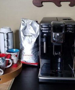 Gaggia Anima Coffee and Espresso Machine, Includes Steam Wand for Manual Frothing for Lattes and Cappuccinos with Programmable Options,Black 47 61ULyU7ZL