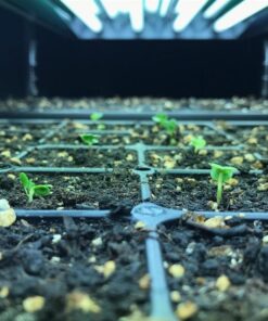 Hydrofarm FLT44 System 4' Fluorescent Grow Light, 1 Count (Pack of 1), White 4 Tubes 4-Feet 26 61UQT1qzb3L