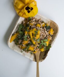 Palm Leaf Square Plate with Rounded Corners (Case of 100), PacknWood - Eco Friendly Compostable Wooden Disposable Plates (6" x 6" x 0.8") 210BBA1717 100 Pieces 6" x 6" 13 61URcuD3NeL