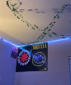 GB eye Nirvana Smiley Poster 15 61UTTemMTL