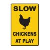 Slow Chickens At Play - 10" x 15" Aluminum Sign 23 61UW4F6fR8L