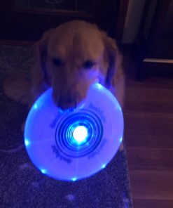 Nite Ize Flashflight LED Light Up Flying Disc Replaceable Batteries Blue 32 61UY5vrF7dL