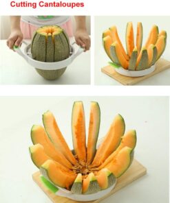 Modern Home Melon Slicer - Large 16 61UYedj1s3L