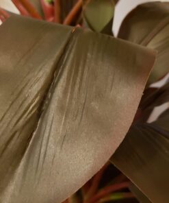 Nearly Natural 6580 Cordyline Silk Plant Real Touch, 5-Feet, Green 25 61Uk3WCqANL