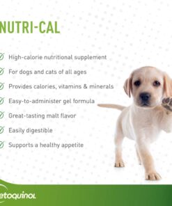 Vetoquinol Nutri-Cal 4.25 Oz - High Calorie Supplement for Cats and Dogs 22 61UkAmCilIL 1