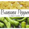 Liliana's Garden Sweet Pepper Seeds - Banana Pepper - Heirloom 18 61Ulk5XUgL