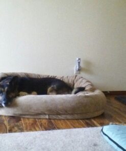 Black Diamond Laminate Floor Cleaner and Hardwood Floor Cleaner Spray - Versatile Solution Safe for Vinyl Floors, Wood Floors, and Engineered Hardwood Floors - 32 Fl Oz 1 Quart 29 61UnHYE9i3L