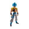 TAMASHII NATIONS - Super Saiyan God Super Saiyan Gogeta, Bandai Figure 11 61Ut8tTyIQL