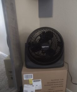 Amazon Basics 3 Speed Small Room Air Circulator Fan, 11-Inch, Blade, Black, 7.6"D x 14.8"W x 14.1"H 44 61V RdzTMSL